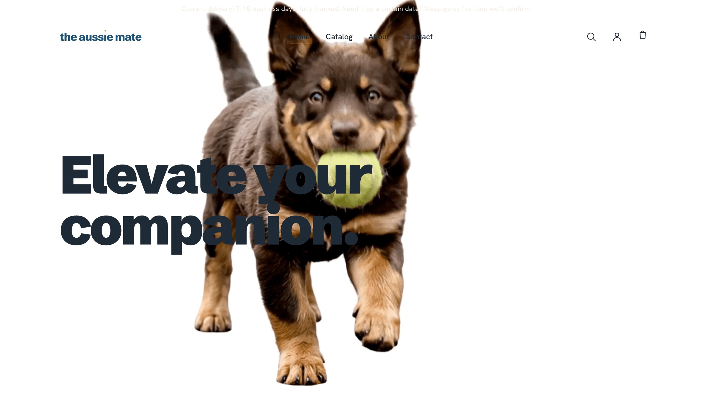 The Aussie Mate website
